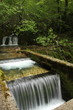 River  in a forest