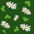 Seamless background with camomiles