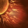 3d Sperms nearing the egg