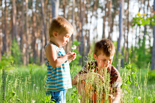 Photo: Brothers outdoors in dandelions Brothers outdoors in dandelions