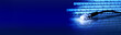Header - Banner