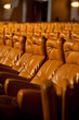 fauteuils en cuir
