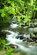 Mountain stream