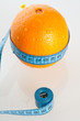Orange Fruit with measurement