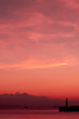 Pink Harbor Pink Harbor