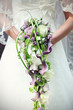 Braut Hochzeit