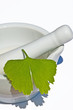 Ginkgo mit Mörser