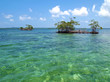 Mangrove islands