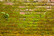 Old wall