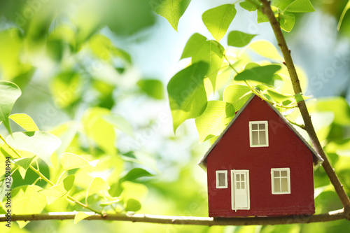 Photo: House in the trees House in the trees