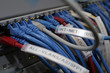 Ethernet cbles connected to a switch Ethernet cbles connected to a switch