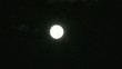 Full Moon with Tree