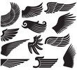 wings collection