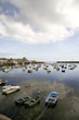 Britain's harbor