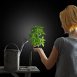 Gardening concept - woman holding a plant