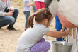 Milking cow 5