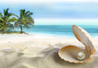 Tropical beach Tropical beach
