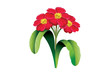Prim_Rose