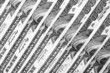 Row of Cash