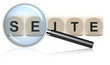 Seitensuche