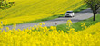 Car on rural road