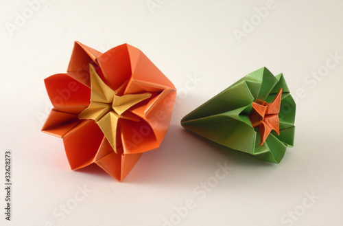 Foto: Flor 6 Flor 6