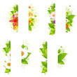 Collection Of Bunches Of Flowers And Leaves With Paper Collection Of Bunches Of Flowers And Leaves With Paper