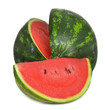 Cucurbita