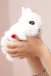 bébé lapin
