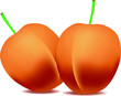 apricot