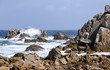 vagues et rochers