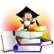 Libri Esame e Gufo Professore-Owl Teacher Cartoon on Books