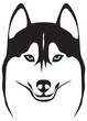 husky head