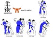 Jiu Jitsu Nage Waza 2