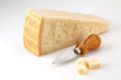 fetta di parmigiano fetta di parmigiano