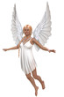 Angel Flying Angel Flying