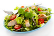 Vegetable salad with roasted chcicken meat Vegetable salad with roasted chcicken meat