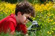 Boy using microscope outdoor Boy using microscope outdoor