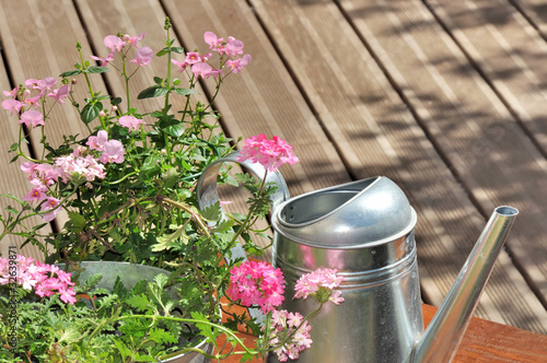 Photo: verveine rose et arrosoir sur terrasse en bois verveine rose et arrosoir sur terrasse en bois