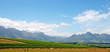panoramic landscape with vineyard(South Africa)