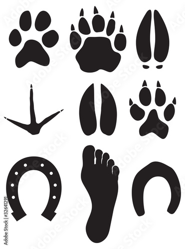 Vector: paw prints paw prints