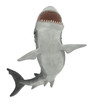 shark jumping