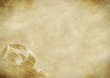 NEW TEXTURE 28