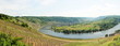 Panorama Wolf an der Mosel