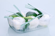 La Burrata #2