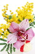 Photo en ligne au meilleur prix Pink orchid and mimosa bouquet