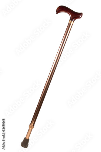 Photo: walking stick walking stick