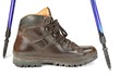1 Wanderschuh mit Stöcken