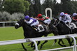 France Maison Laffitet Course Cheval Galop