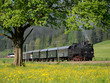 Dampfzug im Frühling
